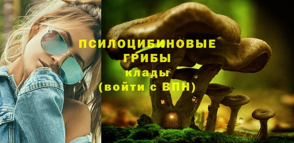 гашик Абинск
