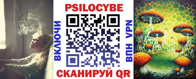 Псилоцибиновые грибы Cubensis  купить наркотики сайты  Новопавловск 